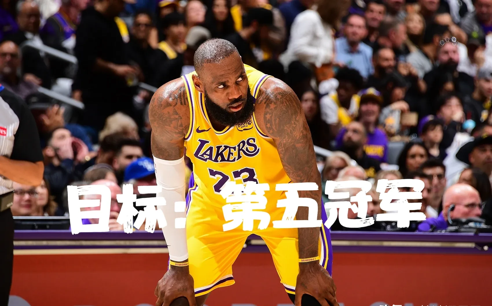关于湖人带队取胜！，詹姆斯重要时刻重返赛场全场沸腾不已的信息